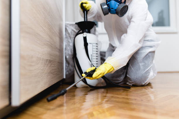 Best Flea Control Services  in Sidney, MT