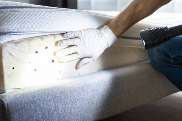Trusted Sidney, MT Pest Control Experts