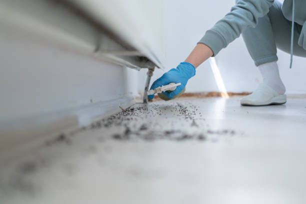Best Affordable Pest Control Services  in Sidney, MT